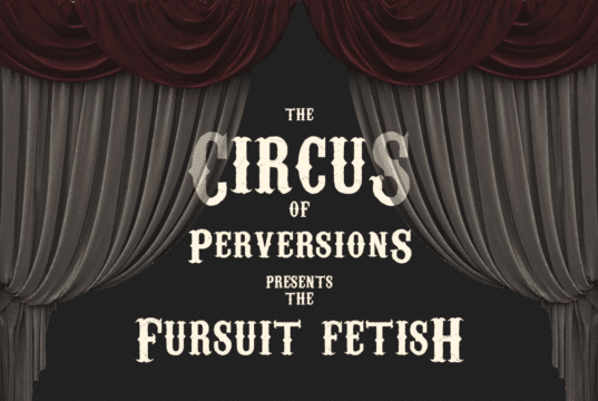 Fursuit fetish - The rabbit fucks the hedgehog.