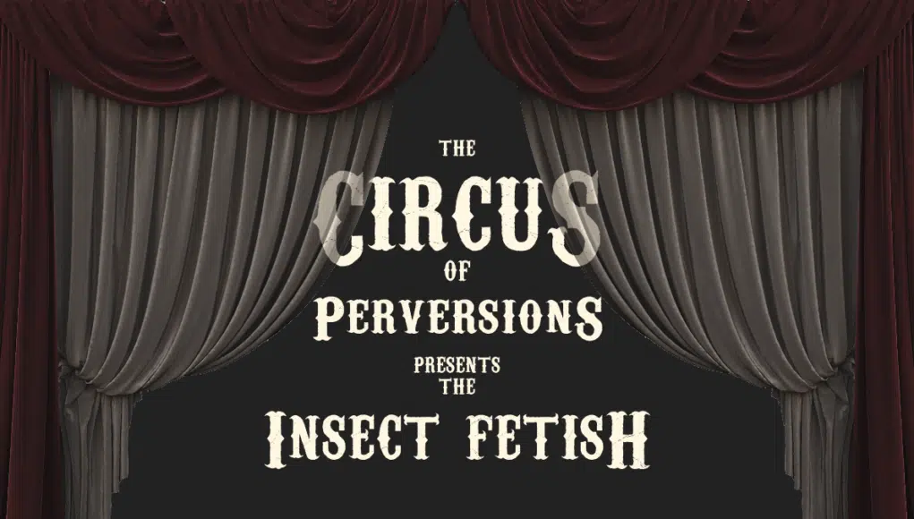 Insect Fetish - The fetish with the crawling bugs.