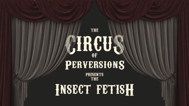 Insect Fetish - The fetish with the crawling bugs.